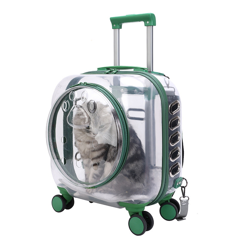 Breathable space capsule large capacity cat